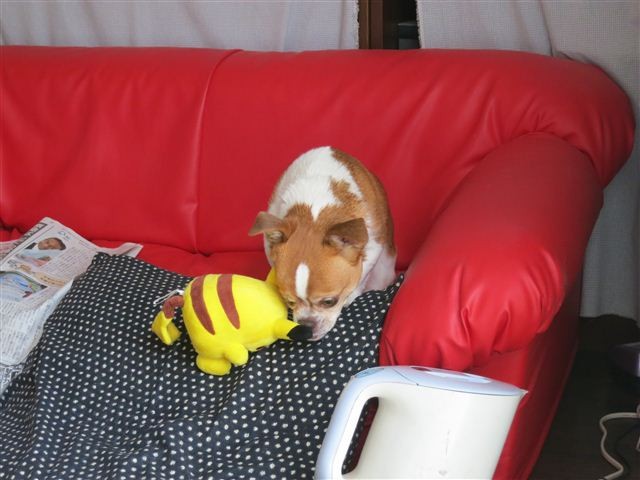 20130410122118