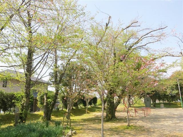 f:id:yasukazu01:20130413095751j:image