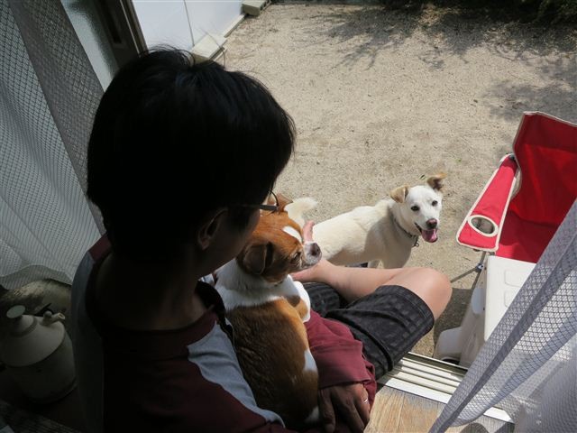 20130415133126