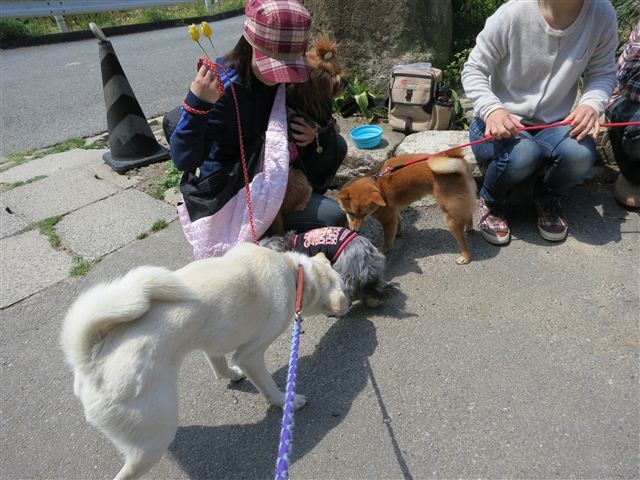 f:id:yasukazu01:20130428111310j:image