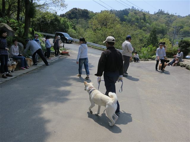 f:id:yasukazu01:20130428111421j:image