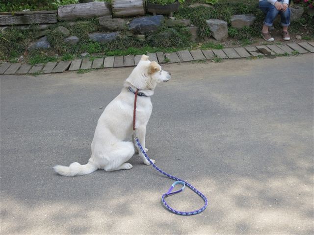f:id:yasukazu01:20130428111635j:image