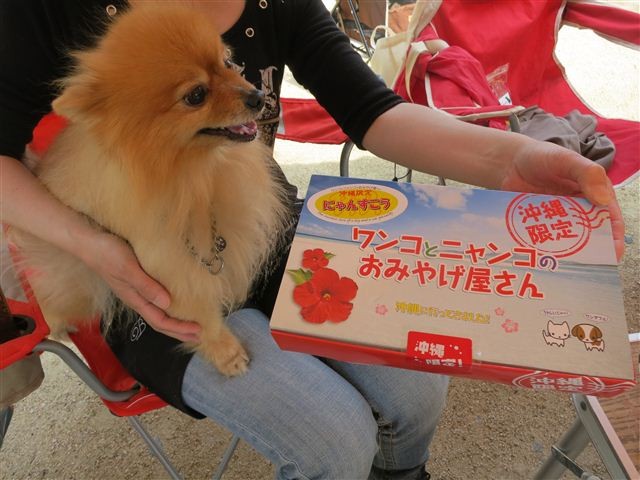 f:id:yasukazu01:20130428135419j:image f:id:yasukazu01:20130428135419j:image