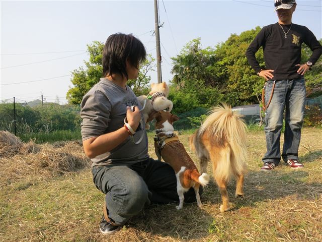 f:id:yasukazu01:20130428160541j:image f:id:yasukazu01:20130428160541j:image
