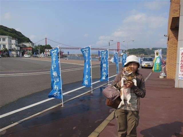 f:id:yasukazu01:20130507085425j:image