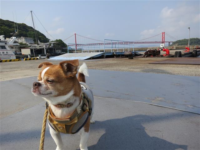 f:id:yasukazu01:20130507085559j:image