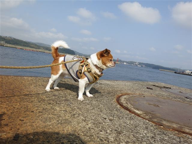20130507085636