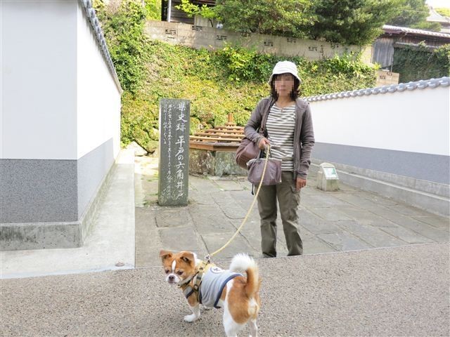 f:id:yasukazu01:20130507093611j:image