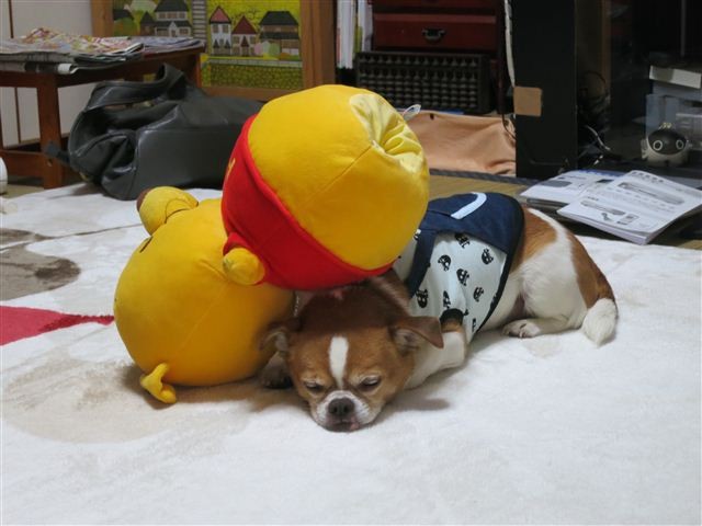 f:id:yasukazu01:20130507140646j:image