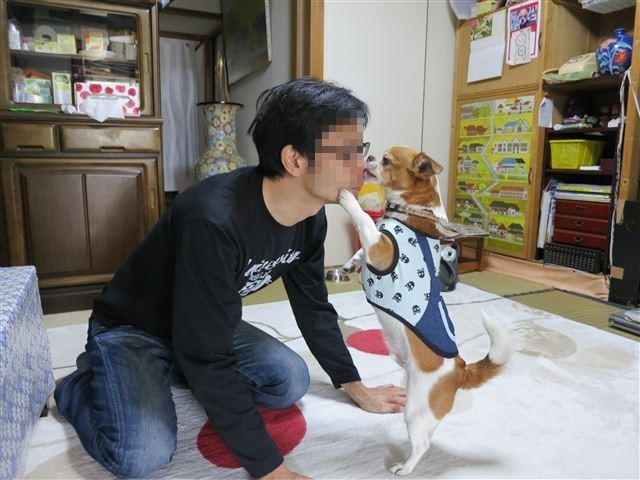 f:id:yasukazu01:20130507152021j:image