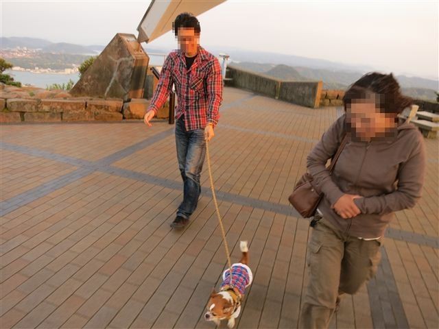 f:id:yasukazu01:20130507183612j:image