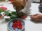 20130508062933