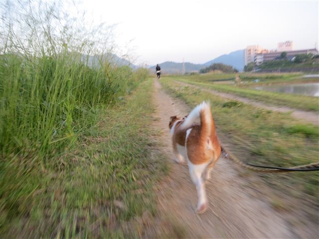 20130521185357
