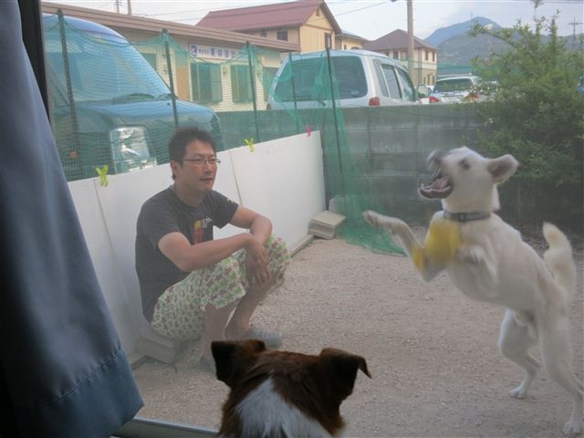 f:id:yasukazu01:20130612180133j:image