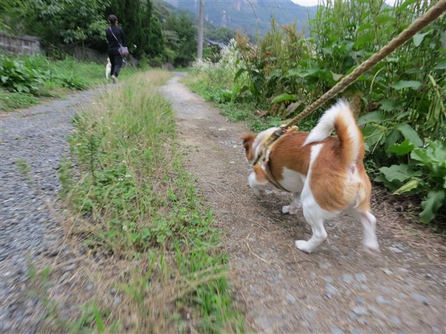 f:id:yasukazu01:20130625155809j:image