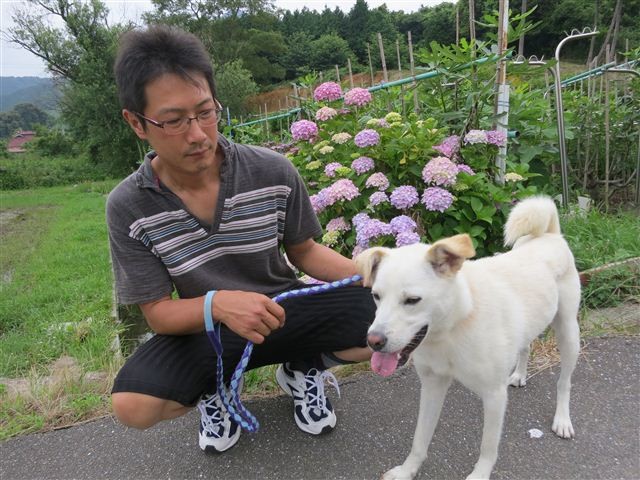 f:id:yasukazu01:20130625161008j:image