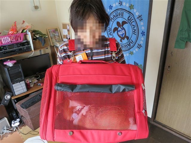 f:id:yasukazu01:20130626192540j:image