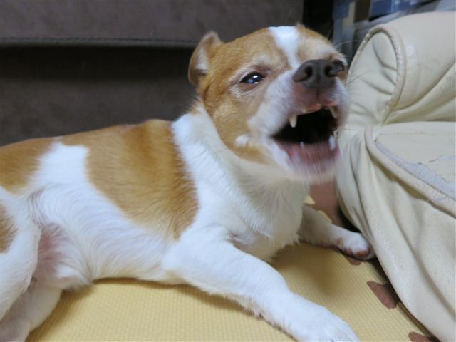 f:id:yasukazu01:20130703224059j:image