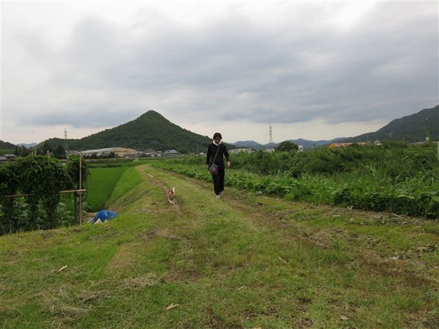 20130705205819