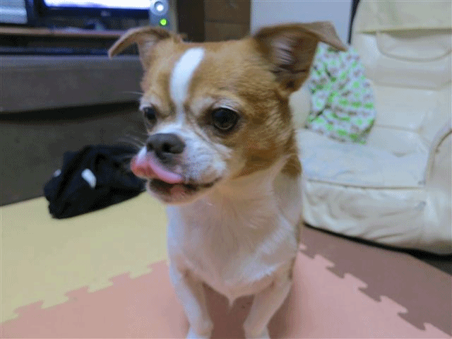 f:id:yasukazu01:20130715221125g:image