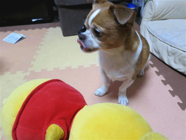 f:id:yasukazu01:20130715221601g:image