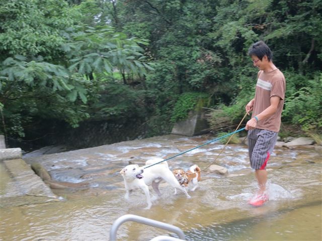 f:id:yasukazu01:20130809213405j:image f:id:yasukazu01:20130809213405j:image
