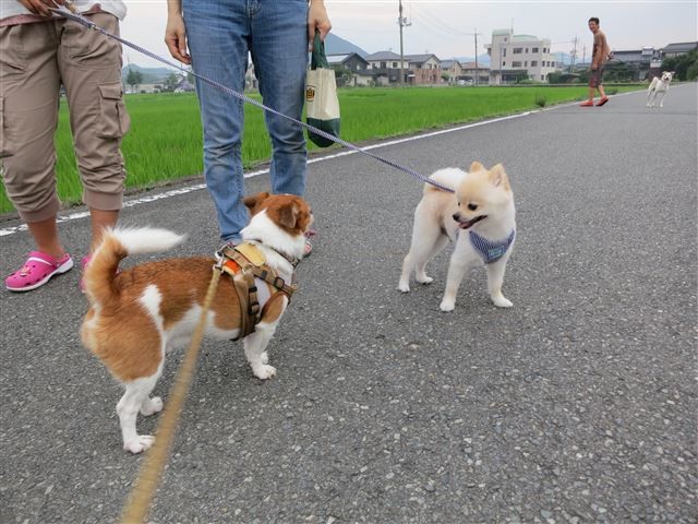 f:id:yasukazu01:20130809221505j:image f:id:yasukazu01:20130809221505j:image