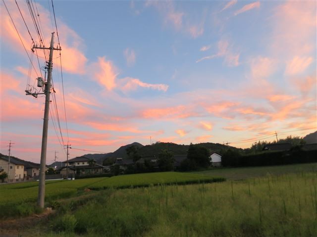 f:id:yasukazu01:20130820211810j:image f:id:yasukazu01:20130820211810j:image