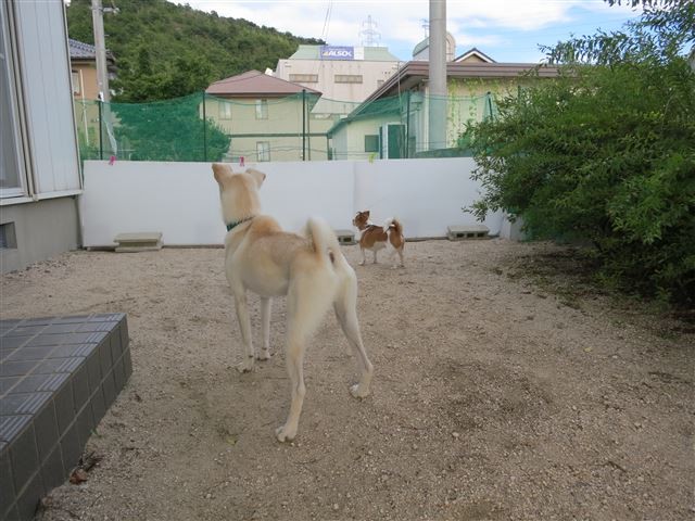 20130901220600