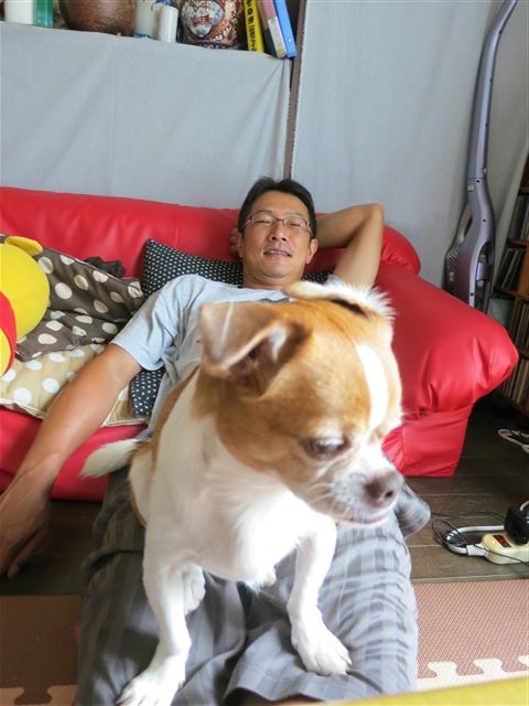 f:id:yasukazu01:20130903183155j:image