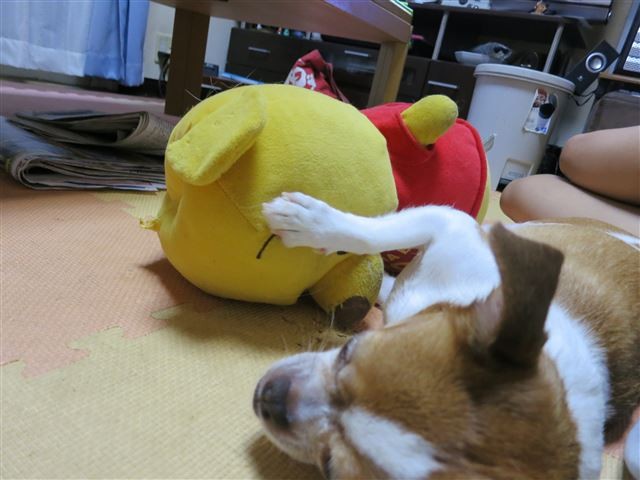 f:id:yasukazu01:20130912222906j:image