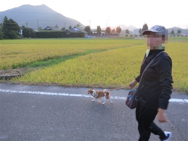 f:id:yasukazu01:20130913222021j:image