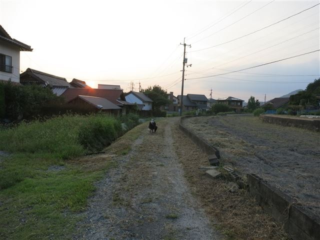 f:id:yasukazu01:20130913222305j:image