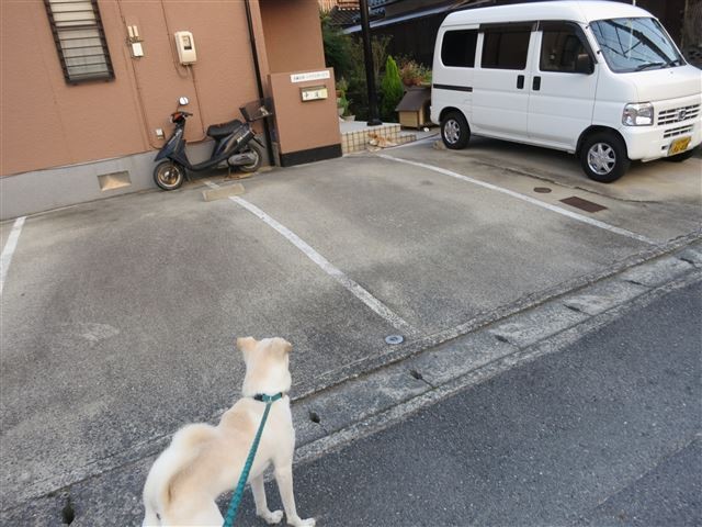 f:id:yasukazu01:20130913222514j:image