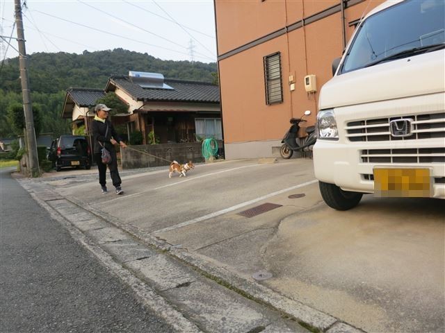 f:id:yasukazu01:20130913222931j:image