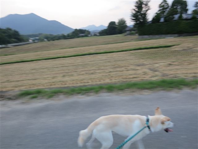f:id:yasukazu01:20130913223214j:image