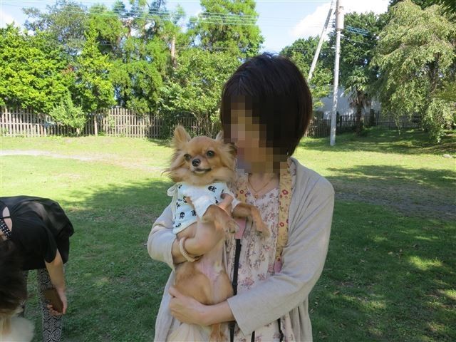 f:id:yasukazu01:20130921224859j:image