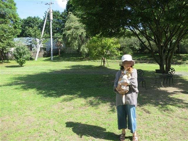 f:id:yasukazu01:20130921225049j:image