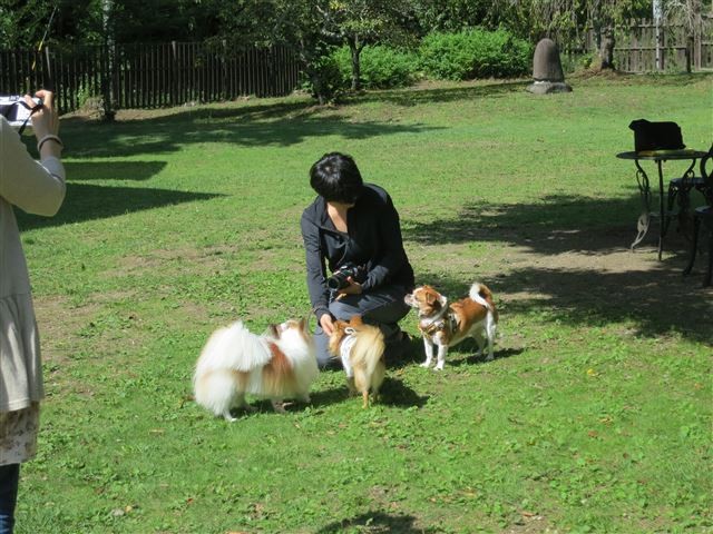 f:id:yasukazu01:20130921225050j:image