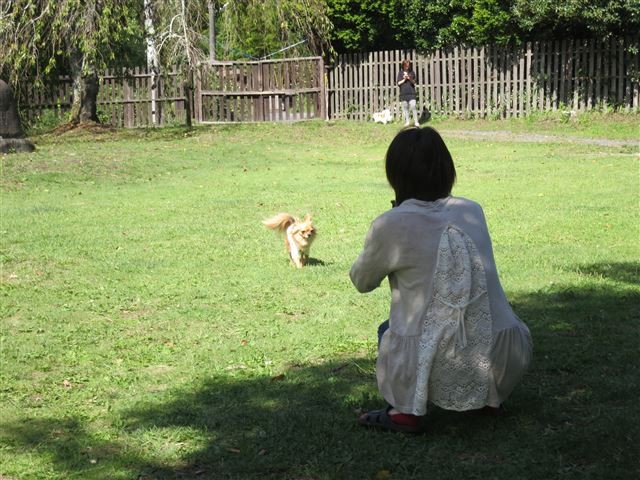 f:id:yasukazu01:20130921225051j:image