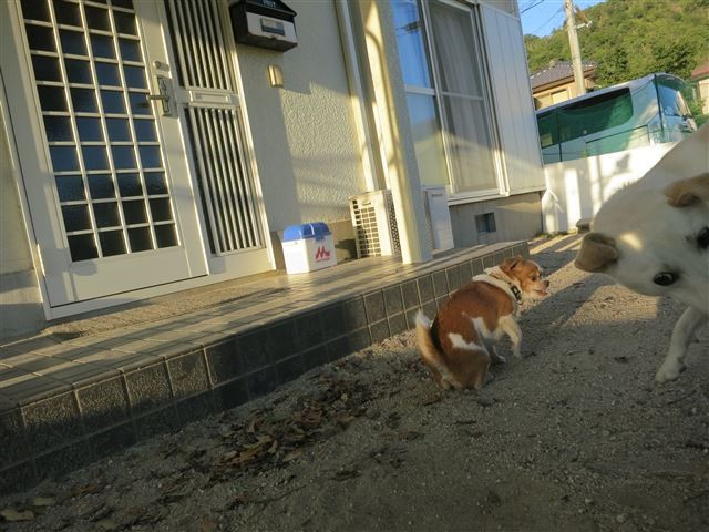 f:id:yasukazu01:20131001223948j:image
