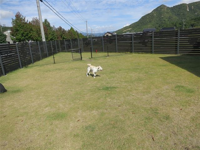 20131002205954
