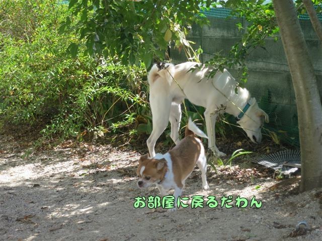 f:id:yasukazu01:20131005222151j:image
