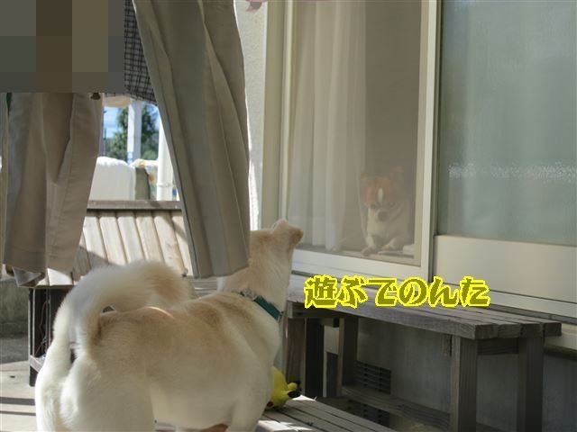 f:id:yasukazu01:20131005222524j:image