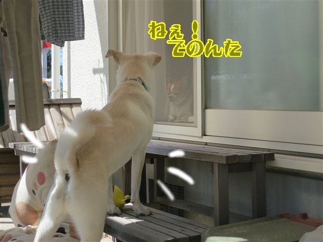 f:id:yasukazu01:20131005222752j:image