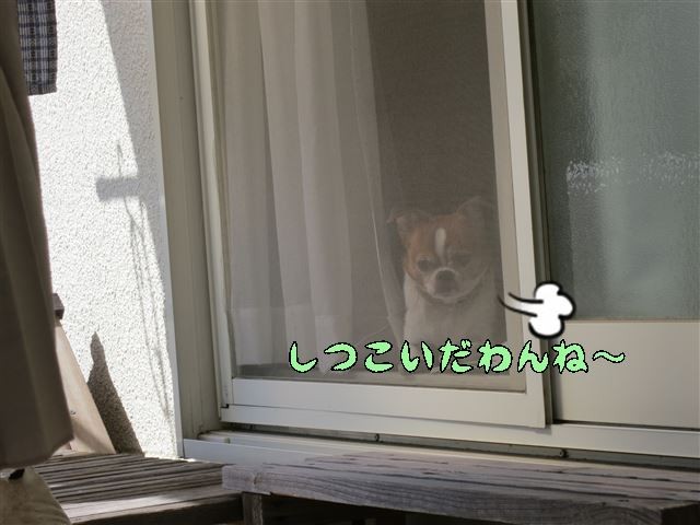 f:id:yasukazu01:20131005222853j:image