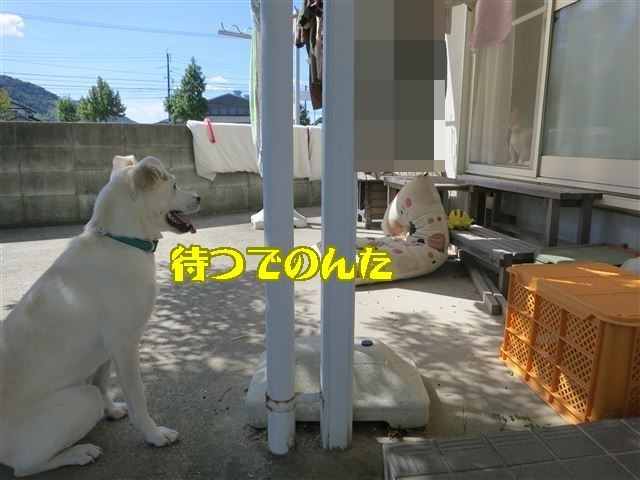 f:id:yasukazu01:20131005223016j:image