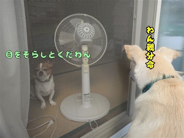 f:id:yasukazu01:20131005223258j:image