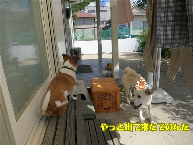 f:id:yasukazu01:20131005223456j:image