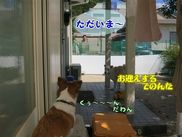 f:id:yasukazu01:20131005223814j:image
